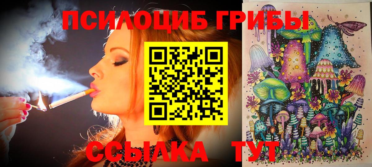 Галлюциногенные грибы MAGIC MUSHROOMS  Галлюциногенные грибы прущие грибы  Ессентуки  Вход с VPN 