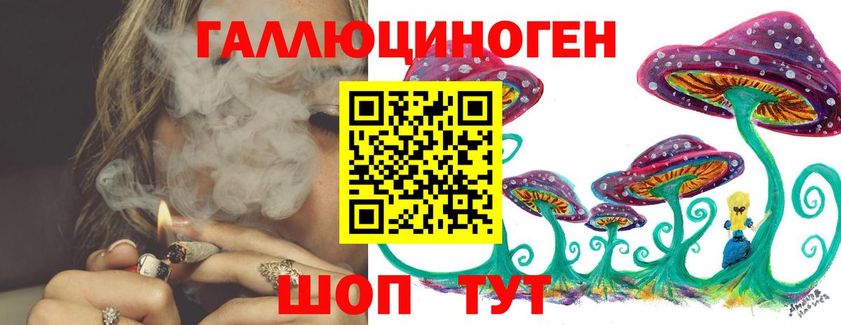 Псилоцибиновые грибы Magic Shrooms  Ессентуки 