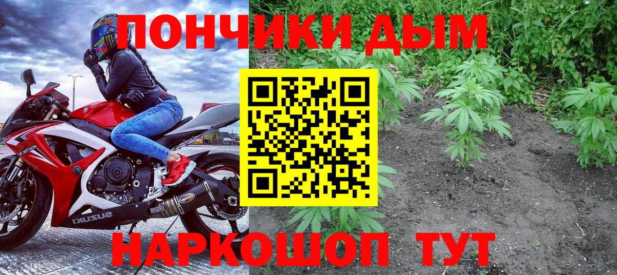 Шишки марихуана ГИДРОПОН Ессентуки